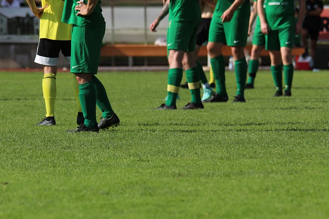 他们获胜的 他们获胜的