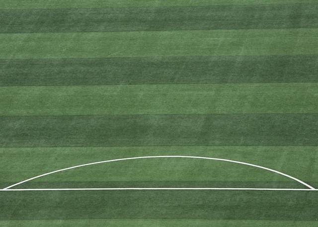 球迷意见分 球迷意见分