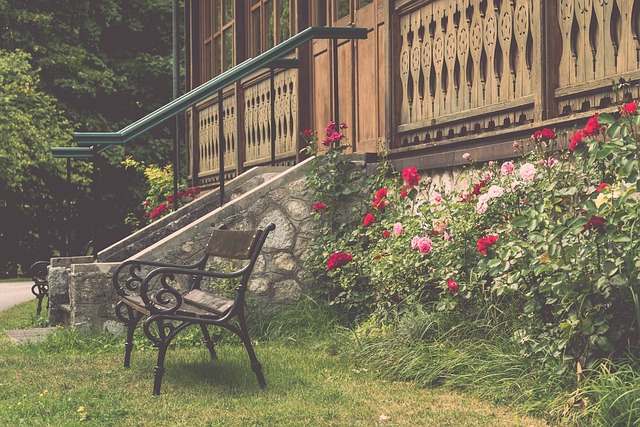 来了振奋的 来了振奋的