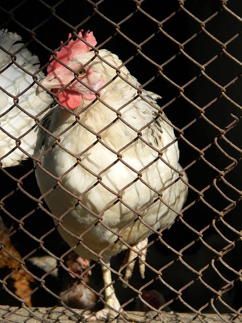 球队的考验 球队的考验