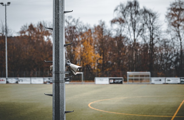 阵痛与机遇 阵痛与机遇