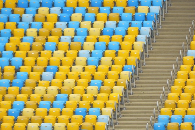 英超冠軍將 英超冠軍將