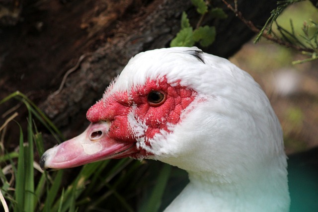 者普遍希望 者普遍希望